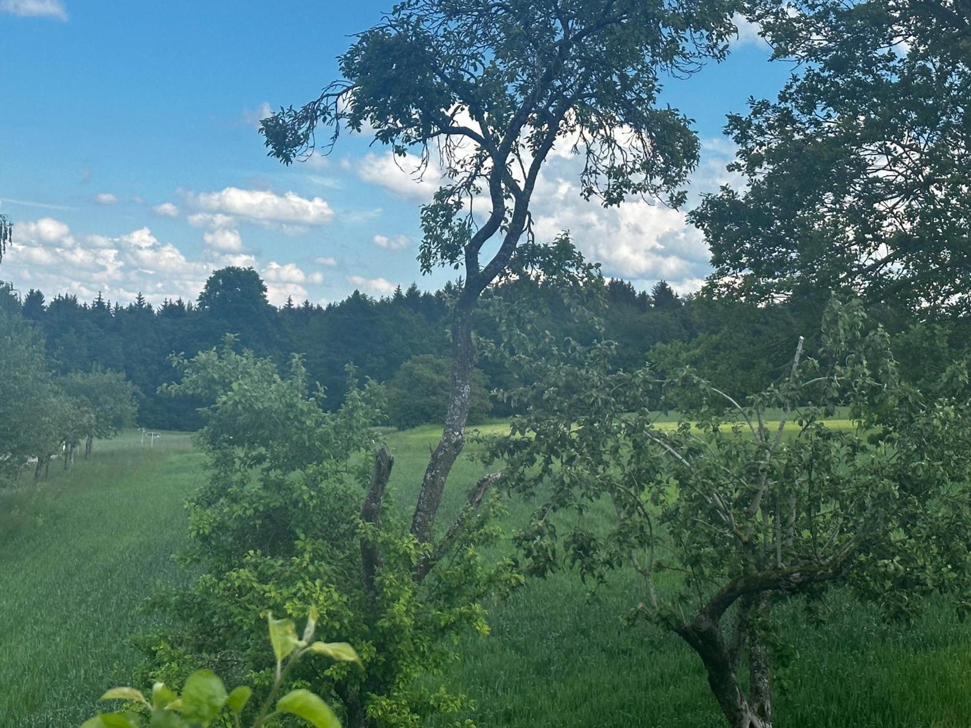 Ferienunterkunft Schwaebischer Wald Oberrot Exterior foto